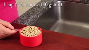 Diamkan selama semalam pada suhu ruang yang lembab. Cara Membuat Tauge Dari Kacang Kedelai Untuk Pemula Dilengkapi Gambar Arafuru