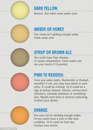 What Does Your Pee Say About Your Health New Diagram Shows