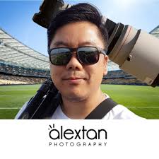 What to do when a healthy French bulldog stops eating regularly?