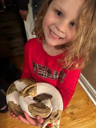 Why won't my ball python eat pinkies?