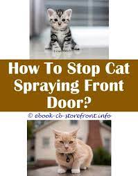 12 Unbelievable Do Cats Stop Spraying When Neutered Admirable Toxoplasmosis Bebe