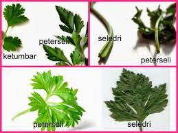 Eh, kenapa bau lain macam je sup aku ni? Pin On Natural Remedies