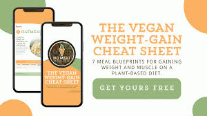 gain weight as a vegan no meat athlete