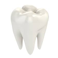 These can heal and tighten if the tooth is kept in place, often within a few weeks. Loose Teeth Causes How To Prevent And Treat Loose Teeth Trusted Health Products