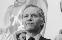 Hero At Large (1980)