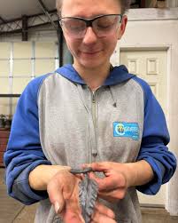 Flying Anvil Forge...