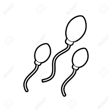 精子のベクトル イラスト デザインによる受精のイラスト素材・ベクター Image 82032226