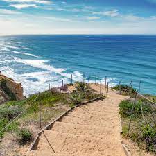 This coastal sage scrub habitat is rich with wildflowers, various shrubs, and, as the name suggests, sage. 7 Best Hikes In San Diego