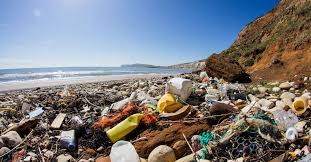 Image result for single use plastic collins dictionary
