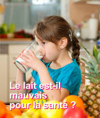 Le lait est il mauvais pour la sant?. Le Lait Est Il Mauvais Pour La Sante Bio A La Une