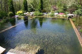 Natural Swimming Pools More Beauty No Chemicals Natural Swimming Pools Natural Pool Swimming Pond