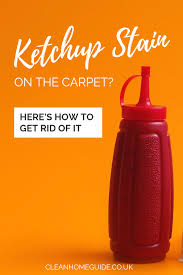 How to get coffee grounds out of a carpet? How To Remove Tomato Sauce Stains From Your Carpet Stain Remover Carpet Ketchup Stains Ketchup Stains Removal