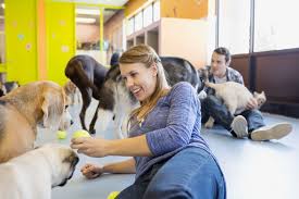 Please try again using a different zip code or city and state combination. What To Know Before You Open A Pet Store