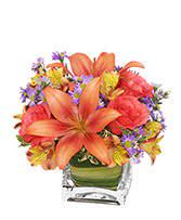 En florerías online tenemos la forma más fácil y segura para tu envío de flores a domicilio, enviamos flores a méxico, flores a chile, flores a colombia, flores a venezuela, flores en puerto rico, flores a miami, flores a texas, flores a new york, efectuamos delivery a domicilio en todo méxico, algunas de las localidades principales flores al distrito federal, flores a guadalajara. En Espanol Tampa S Florist Inc Tampa Fl