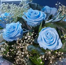 Wedding flowers the 9 best summer wedding flowers, according to florists take advantage of the season's abundant blooms by. Everlasting Baby Blue Jolie Gifts