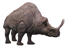 Check out amazing embolotherium artwork on deviantart. Primeval Embolotherium Render By Chrisufray On Deviantart