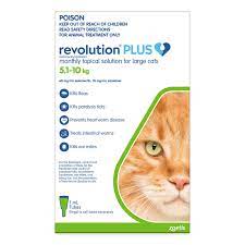 Buy Revolution Plus For Kittens And Small Cats 1 25 2 5kg Yellow Online