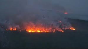 Incendio in sardegna, grande dispiegamento di forze ed evacuazioni a santu lussurgiu. Incendio A Budoni Brucia La Costa Smeralda In Sardegna