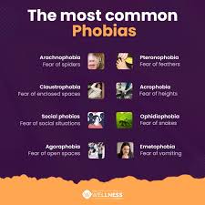 Image result for Specific Phobia