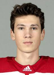 Player photos for the 2019-20 Minnesota Wilderness at hockeydb.com
