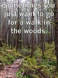 Sometimes You Just Want To Go For A Walk In The Woods Walk In The Woods Cascade Mountains To Go