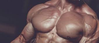 The pectoralis major, or chest muscle, is composed of both an upper and a lower portion, and most guys need to do exercises that emphasize the upper portion in particular. How To Build Big Chest Muscles Training Builderoid