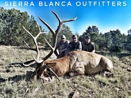 The best way to book a hunt bookyourhunt's focus on transparency and ethical hunting are very much in line with main values of hunting industry.; New Mexico Archery Elk Hunting Elk Hunting With Rifle