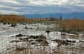 Der mossad im deutschen morast. Ostwestfalischer Morast