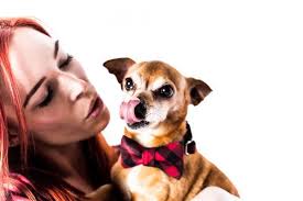 Danielle Spires Photography, 4949 Hollywood Blvd, Los Angeles, CA 90027, US 