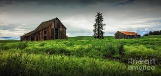 Check spelling or type a new query. Lone Pine Barns Photograph By Virgil L Harper