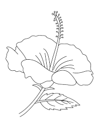 .bunga kartun hitam putih untuk mewarnai flowers bunga kumpulan mewarnai gambar bunga indonesia alamendah s blog 12 tulip drawing bunga for free download on ayoqq cliparts drawing bunga raya sketch coloring page kumpulan mewarnai. Halaman Pewarna Bunga Berwarna Dicetak Percuma Untuk Kanak Kanak Tumbuhan Dan Bunga April 2021