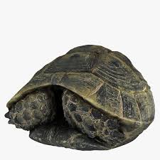 Turtle Shell 3d Model Ad Turtle Shell Model Turtle Shell Turtle 3d Model