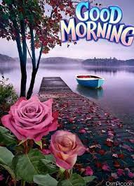 Don't start your day with the broken pieces of yesterday. 190 Good Morning Gif For Whatsapp 2020 Video Status Funny Animations Filmschoolwtf