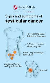 Pin On Infographics