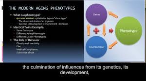 The Iron Age Resistance Training And The Metabolic Syndrome Resistance Training Metabolic Syndrome Metabolism
