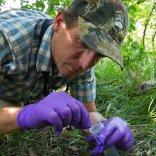 ❗Grizzly Bear News❗ A little over a month ago, MT Fish, Wildlife & Parks  finalized its new grizzly bear management plan. This follows the state's  petition to delist grizzlies from federal protection