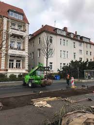 Schönes gartengrundstück zentral gelegen im ortsteil stöckheim. Grewe Jager Pflanzt Winterlinden In Braunschweig Grewe Gruppe