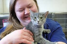 ENGAGEMENT: Scheving-Finney