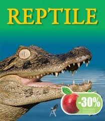 Reptile Reptiles Animals Turtle