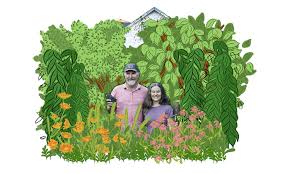 Once everything is well mixed, shovel the mixture into your raised bed. How To Turn Dirt Into Soil Yes Magazine