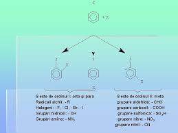 Găsesc în proporții diferite substituenti. Chimie Organic Curs Anul I Ipa Titular Curs