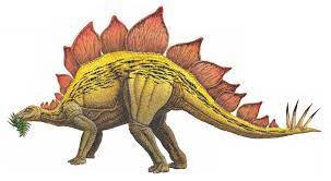 Stegosaurus The Plant Eating Dinosaurs Who Was About The Size Of A Bus With A Walnut Sized Brain Had No Teeth In The Dinosaur Wallpaper Stegosaurus Dinosaur