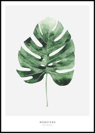 Monstera Leaf Poster Posterstore Co Uk Leaf Print Art Plant Art Leaf Art