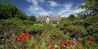 Aber das, was günther jauchs kandidatin nina becker mal eben so zaubert, ist anders und macht tatsächlich gänsehaut. Sylt