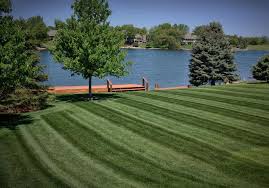 Learn about salaries, benefits, salary satisfaction and where you could earn the most. Make Your Lawn Great Again Fox Wolf Watershed Alliance
