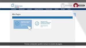 Check spelling or type a new query. Como Usar Modulo Mis Pagos En Mercado Publico Chilecompras Youtube