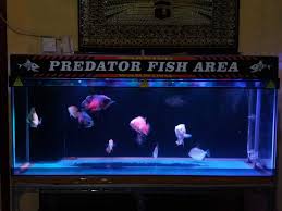 Check spelling or type a new query. Stiker Akuarium 120cm Facebook