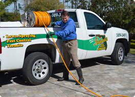 Bush pest solutions of st. Pest Control Jacksonville Fl Local Since 1954 Peninsular Pest Control