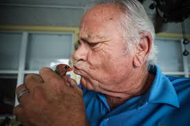 Man's best friend: Rescued hatchling befriends Ormond Beach man