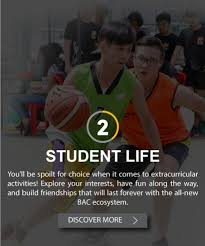 37,239 likes · 347 talking about this. Landing Page Home Bac College
